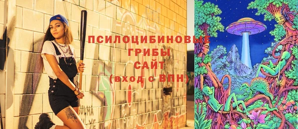 шишки Приозерск