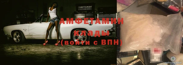 шишки Приозерск
