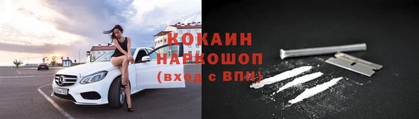 сатива Рославль