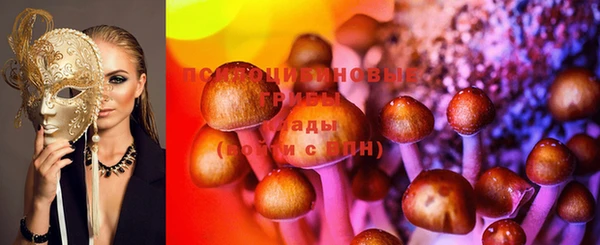 шишки Приозерск