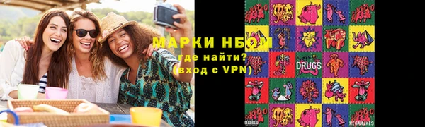 шишки Приозерск