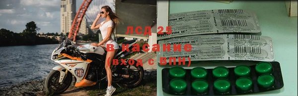 шишки Приозерск