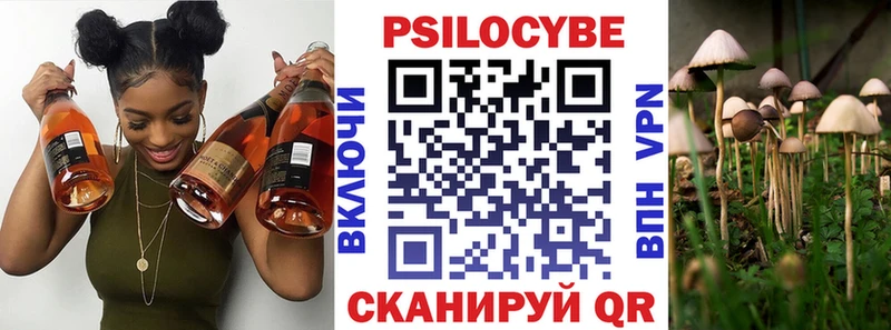 Псилоцибиновые грибы Psilocybine cubensis  Купить закладки  Ардатов 